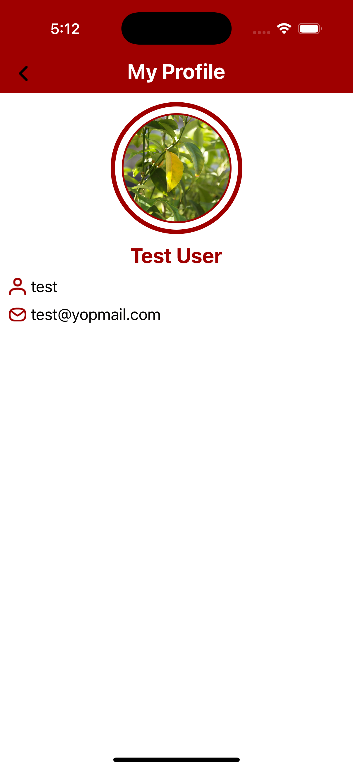 React Native Firebase Auth Kit 30