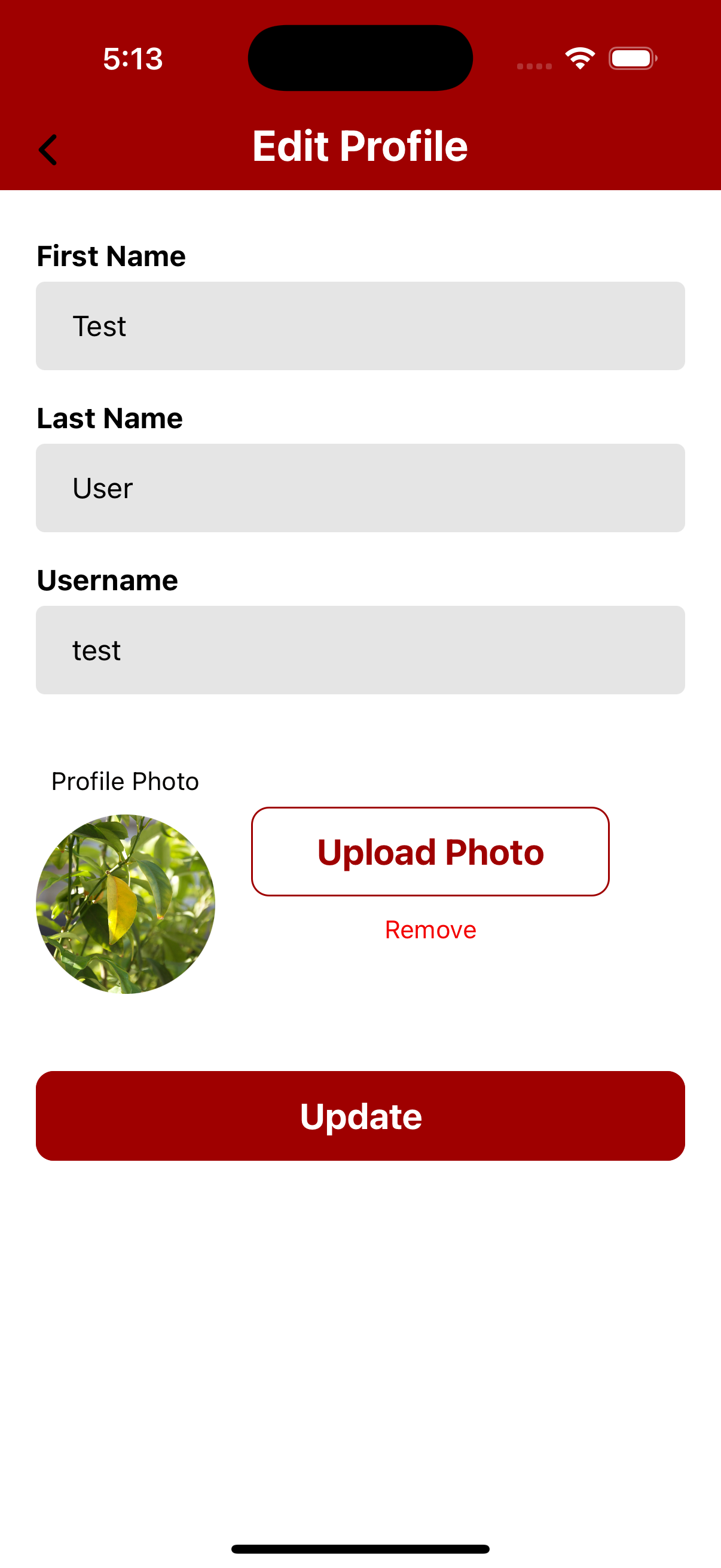React Native Firebase Auth Kit 31